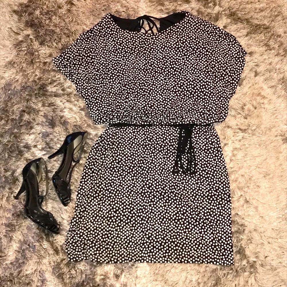 Enfocus Black and White Dot Dress with Belt